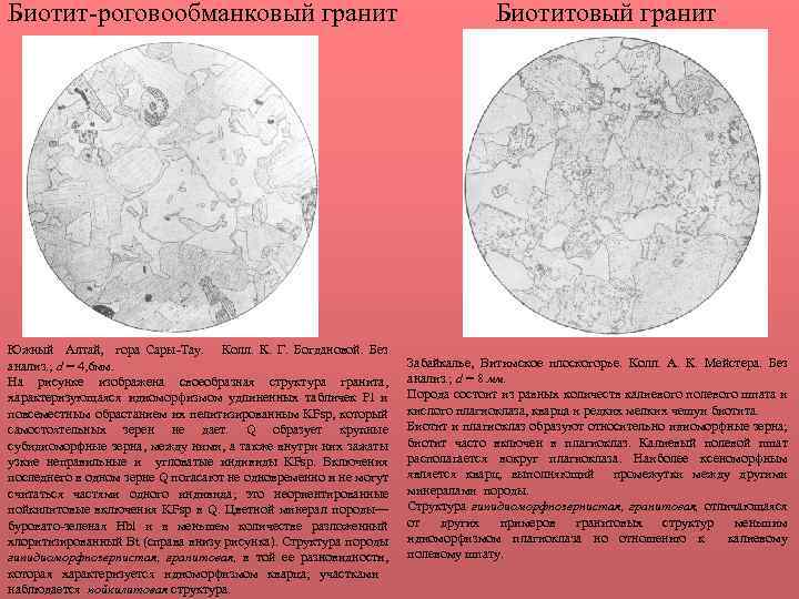 Биотит-роговообманковый гранит Южный Алтай, гора Сары-Тау. Колл. К. Г. Богдановой. Без анализ. ; d