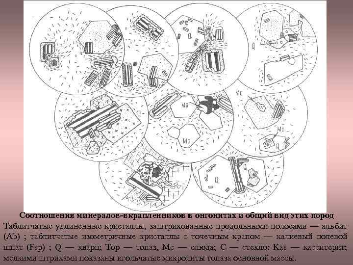 Соотношения минералов-вкрапленников в онгонитах и общий вид этих пород Таблитчатые удлиненные кристаллы, заштрихованные продольными