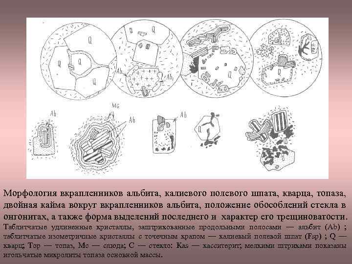 Морфология вкрапленников альбита, калиевого полевого шпата, кварца, топаза, двойная кайма вокруг вкрапленников альбита, положение