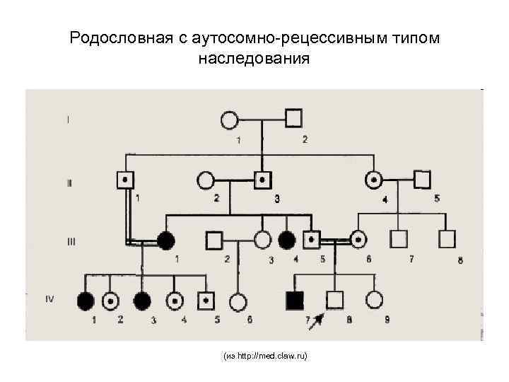 Родословная с аутосомно-рецессивным типом наследования (из http: //med. claw. ru) 