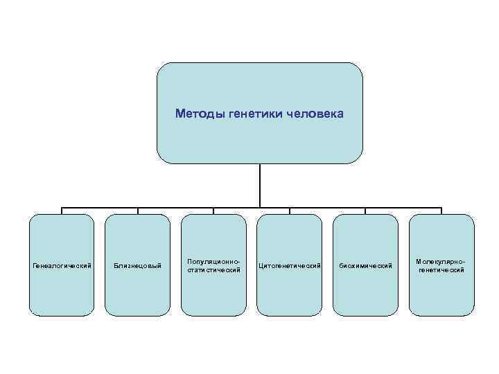 Методы генетики человека Генеалогический Близнецовый Популяционностатистический Цитогенетический биохимический Молекулярногенетический 