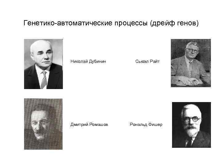 Генетико-автоматические процессы (дрейф генов) Николай Дубинин Дмитрий Ромашов Сьюэл Райт Рональд Фишер 