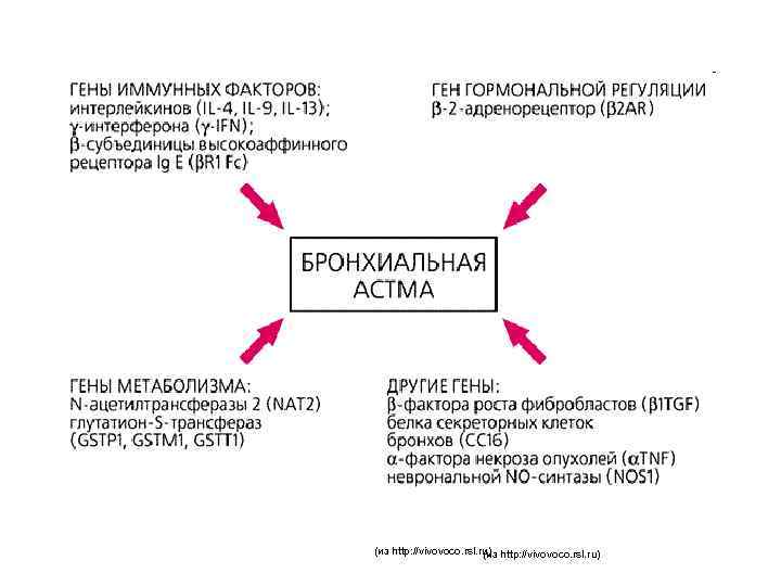 (из http: //vivovoco. rsl. ru) (из 