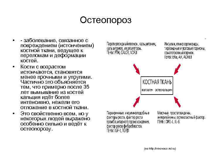 Остеопороз • • • - заболевание, связанное с повреждением (истончением) костной ткани, ведущее к