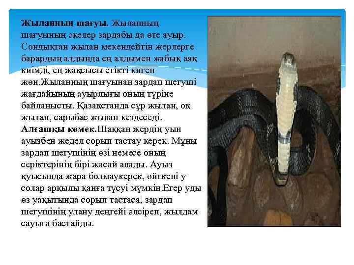 Жыланның шағуының әкелер зардабы да өте ауыр. Сондықтан жылан мекендейтін жерлерге барардың алдында ең