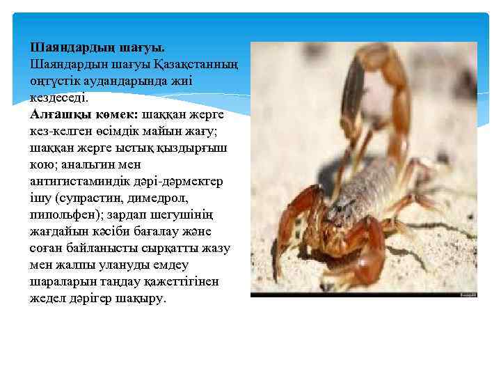 Шаяндардың шағуы. Шаяндардын шағуы Қазақстанның оңтүстік аудандарында жиі кездеседі. Алғашқы көмек: шаққан жерге кез-келген