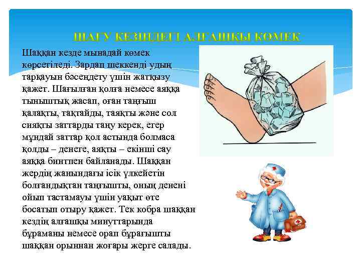 Шаққан кезде мынадай көмек көрсетіледі. Зардап шеккенді удың тарқауын бәсеңдету үшін жатқызу қажет. Шағылған