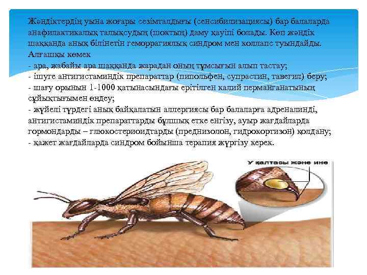 Жәндіктердің уына жоғары сезімталдығы (сенсибилизациясы) бар балаларда анафилактикалық талықсудың (шоктың) даму қауіпі болады. Көп