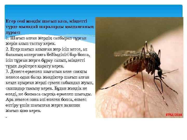 Егер сені жәндік шағып алса, міндетті түрде мынадай шараларды қолданғаның дұрыс: 1. Шағып алған