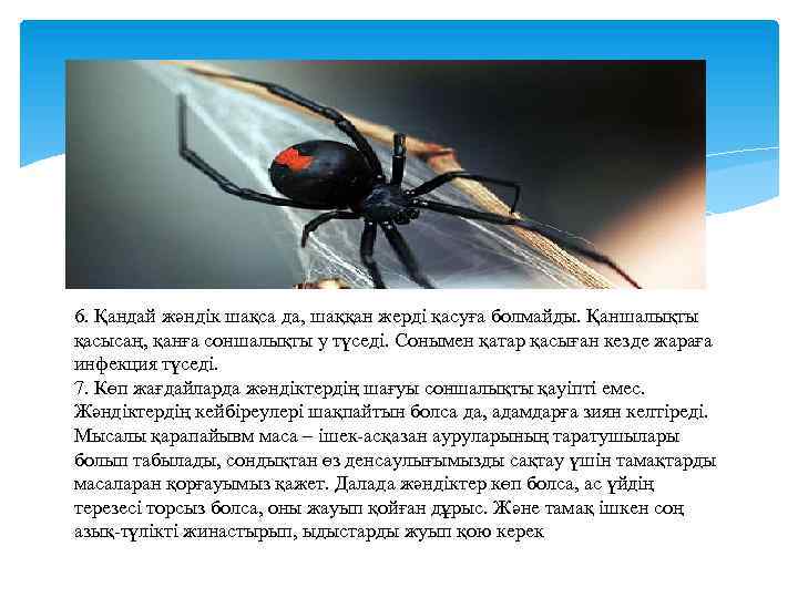 6. Қандай жәндік шақса да, шаққан жерді қасуға болмайды. Қаншалықты қасысаң, қанға соншалықты у