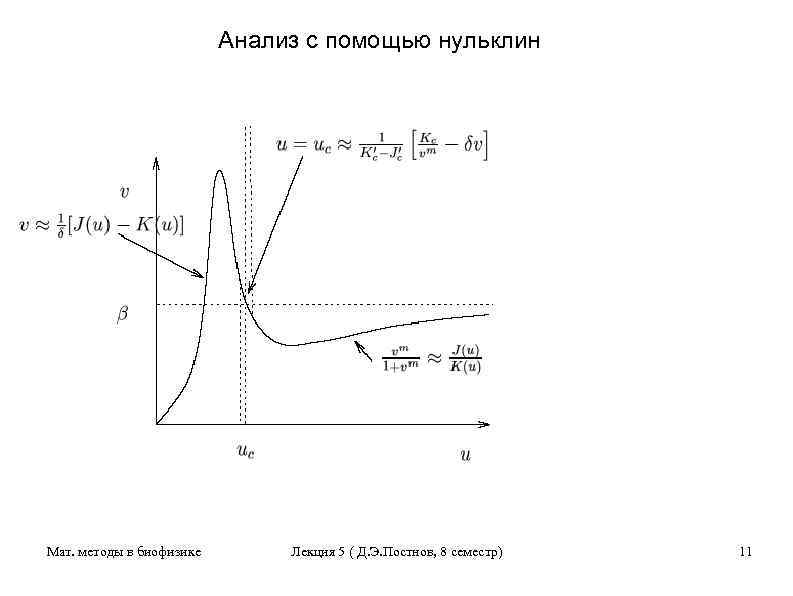 Анализ с помощью нульклин Мат. методы в биофизике Лекция 5 ( Д. Э. Постнов,
