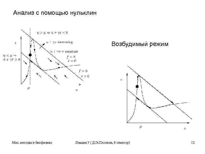 Анализ с помощью нульклин Возбудимый режим Мат. методы в биофизике Лекция 5 ( Д.