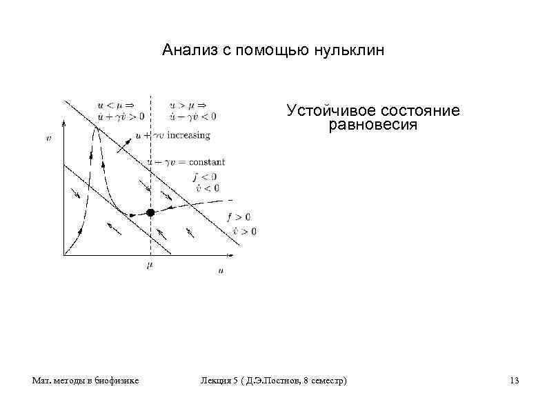 Анализ с помощью нульклин Устойчивое состояние равновесия Мат. методы в биофизике Лекция 5 (