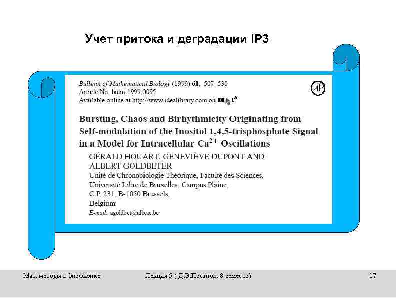 Учет притока и деградации IP 3 Мат. методы в биофизике Лекция 5 ( Д.