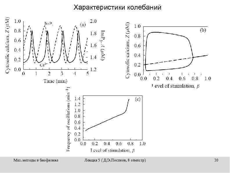 Характеристики колебаний Мат. методы в биофизике Лекция 5 ( Д. Э. Постнов, 8 семестр)