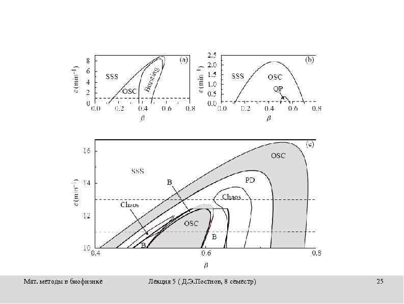 Мат. методы в биофизике Лекция 5 ( Д. Э. Постнов, 8 семестр) 25 