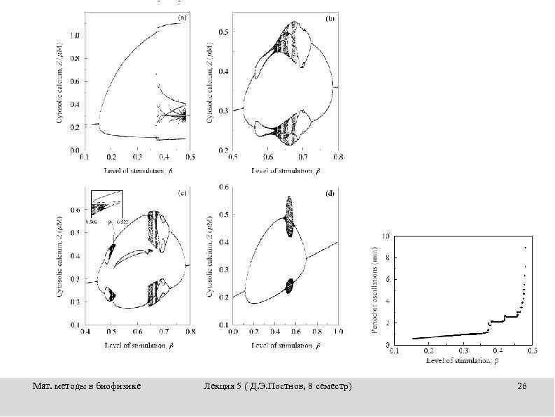 Мат. методы в биофизике Лекция 5 ( Д. Э. Постнов, 8 семестр) 26 