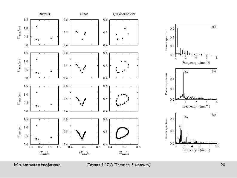 Мат. методы в биофизике Лекция 5 ( Д. Э. Постнов, 8 семестр) 28 