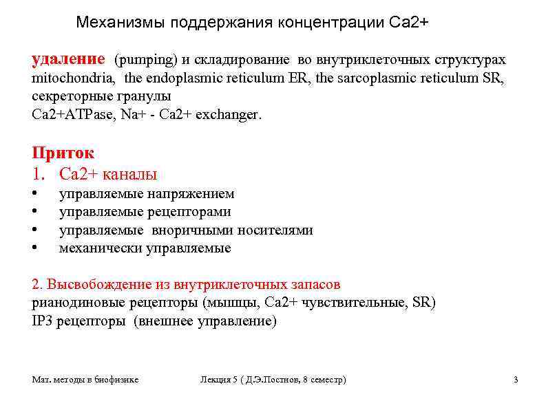 Механизмы поддержания концентрации Са 2+ удаление (pumping) и складирование во внутриклеточных структурах mitochondria, the
