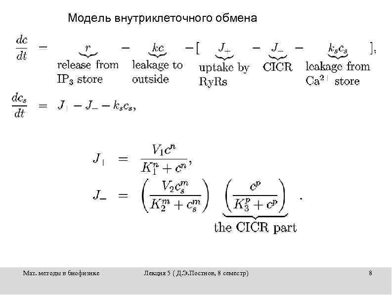 Модель внутриклеточного обмена Мат. методы в биофизике Лекция 5 ( Д. Э. Постнов, 8