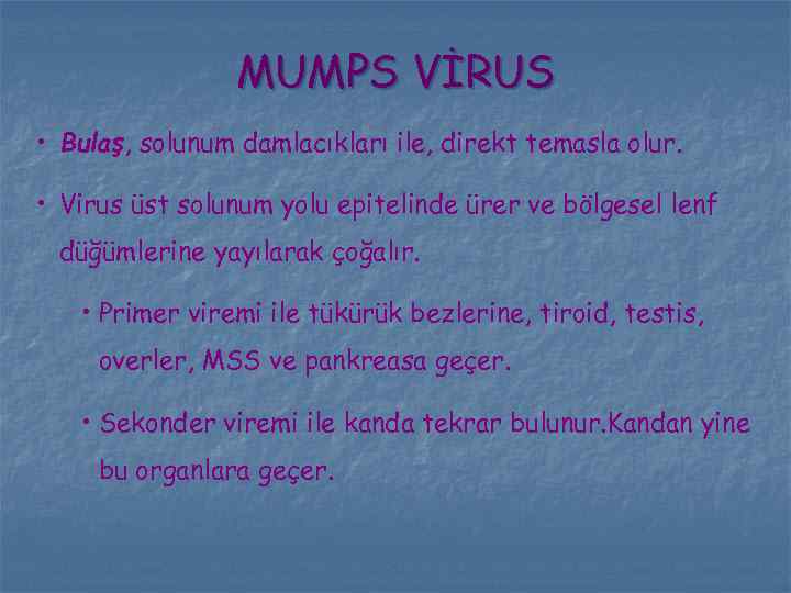 MUMPS VİRUS • Bulaş, solunum damlacıkları ile, direkt temasla olur. • Virus üst solunum