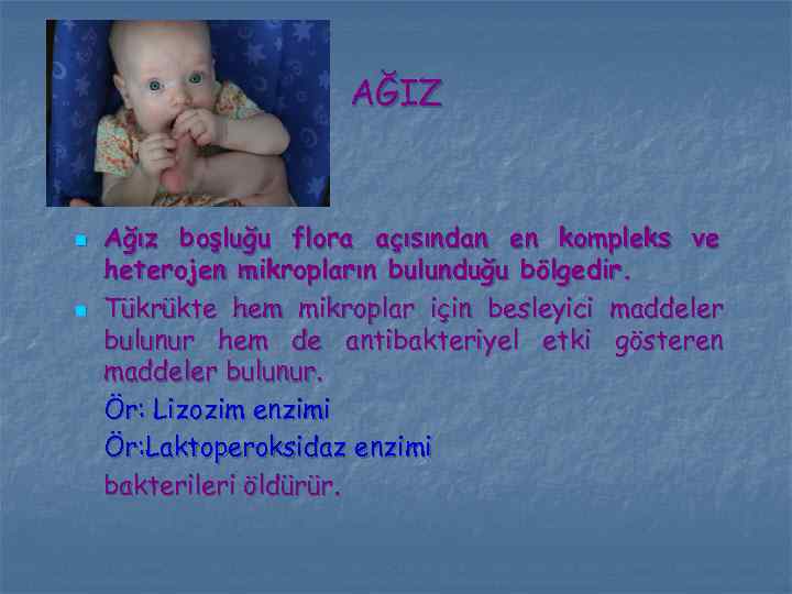 AĞIZ n n Ağız boşluğu flora açısından en kompleks ve heterojen mikropların bulunduğu bölgedir.