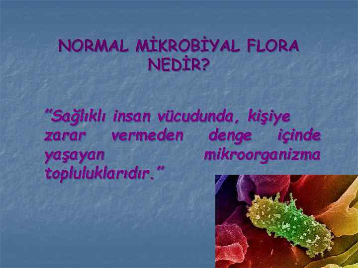 NORMAL MİKROBİYAL FLORA NEDİR? ”Sağlıklı insan vücudunda, kişiye zarar vermeden denge içinde yaşayan mikroorganizma
