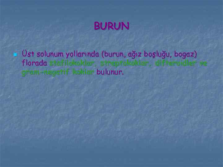 BURUN n Üst solunum yollarında (burun, ağız boşluğu, bogaz) florada stafilokoklar, streptokoklar, difteroidler ve