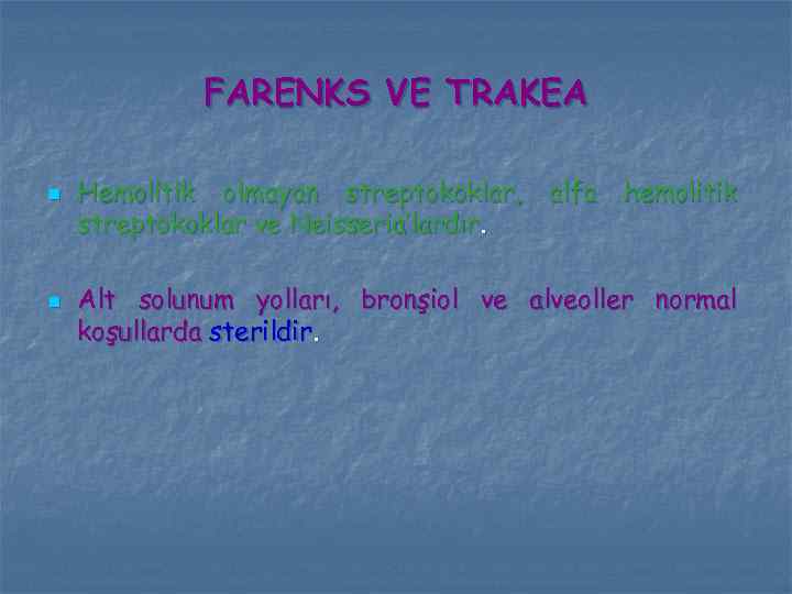 FARENKS VE TRAKEA n n Hemolitik olmayan streptokoklar, alfa hemolitik streptokoklar ve Neisseria’lardır. Alt