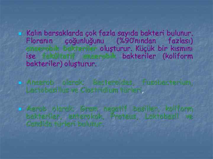 n n n Kalın barsaklarda çok fazla sayıda bakteri bulunur. Floranın çoğunluğunu (%90’nından fazlası)