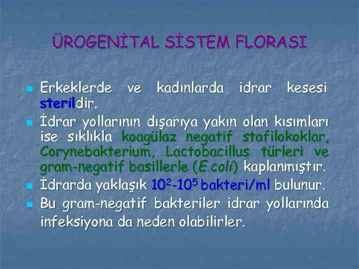 ÜROGENİTAL SİSTEM FLORASI n n Erkeklerde ve kadınlarda idrar kesesi sterildir. İdrar yollarının dışarıya