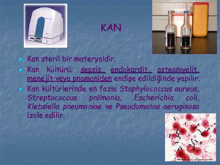 KAN n n n Kan steril bir materyaldir. Kan kültürü; sepsis, endokardit, osteomyelit, menejit