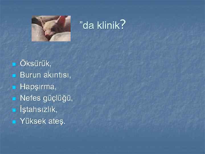 ”da klinik? n n n Öksürük, Burun akıntısı, Hapşırma, Nefes güçlüğü, İştahsızlık, Yüksek ateş.