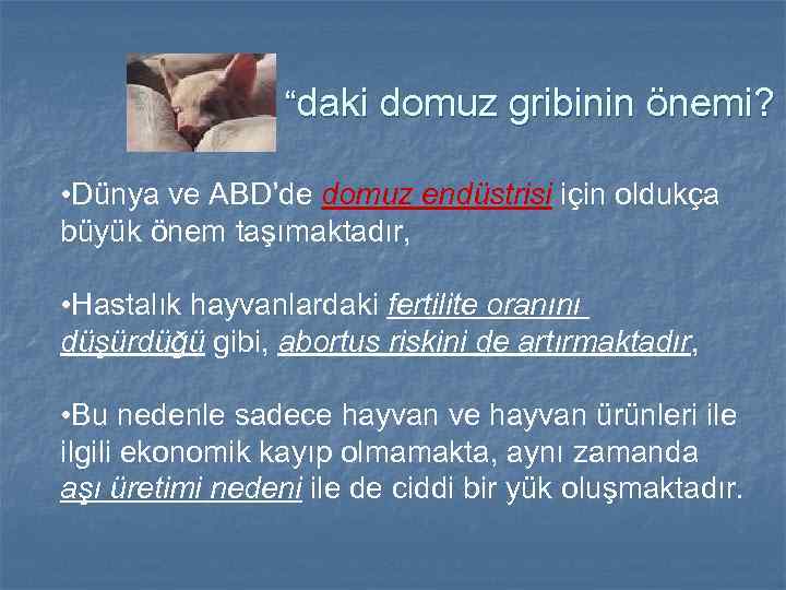 “daki domuz gribinin önemi? • Dünya ve ABD’de domuz endüstrisi için oldukça büyük