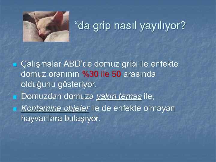  “da grip nasıl yayılıyor? n n n Çalışmalar ABD’de domuz gribi ile enfekte