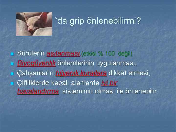  “da grip önlenebilirmi? n n Sürülerin aşılanması, (etkisi % 100 değil) Biyogüvenlik önlemlerinin