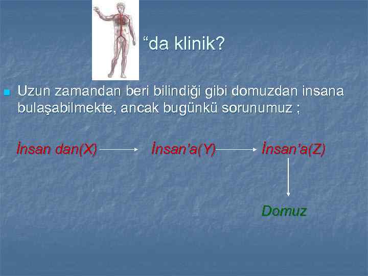 “da klinik? n Uzun zamandan beri bilindiği gibi domuzdan insana bulaşabilmekte, ancak bugünkü sorunumuz