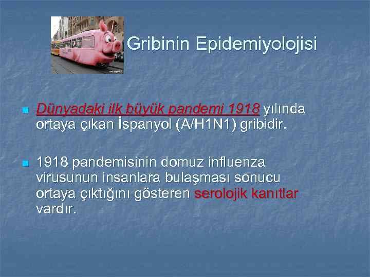 Gribinin Epidemiyolojisi n Dünyadaki ilk büyük pandemi 1918 yılında ortaya çıkan İspanyol (A/H 1