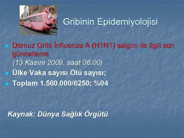 Gribinin Epidemiyolojisi n n n Domuz Gribi İnfluenza A (H 1 N 1) salgını