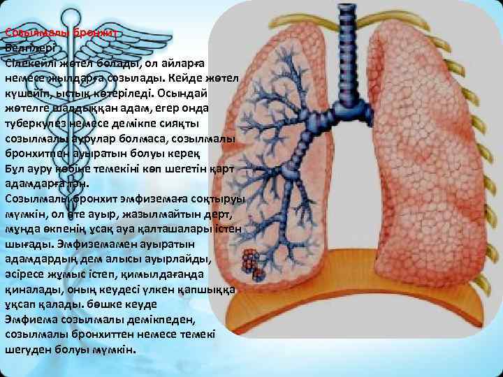 Созылмалы бронхит Белгілері Сілекейлі жөтел болады, ол айларға немесе жылдарға созылады. Кейде жөтел күшейіп,