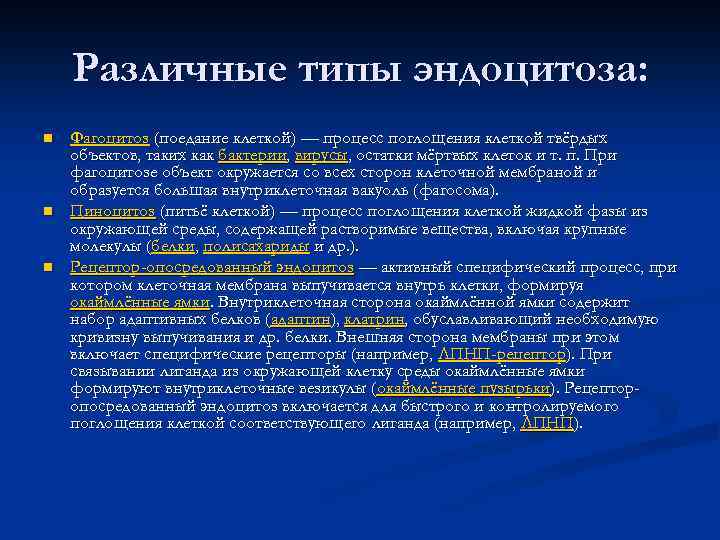 Различные типы эндоцитоза: n n n Фагоцитоз (поедание клеткой) — процесс поглощения клеткой твёрдых