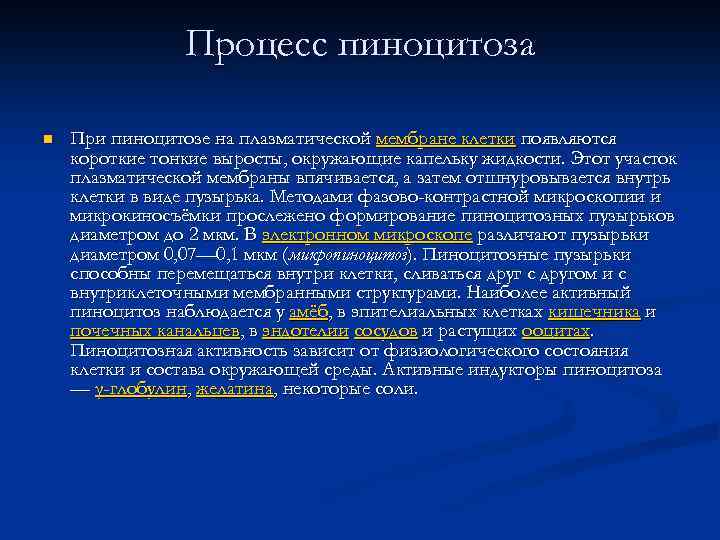 Процесс пиноцитоза n При пиноцитозе на плазматической мембране клетки появляются короткие тонкие выросты, окружающие