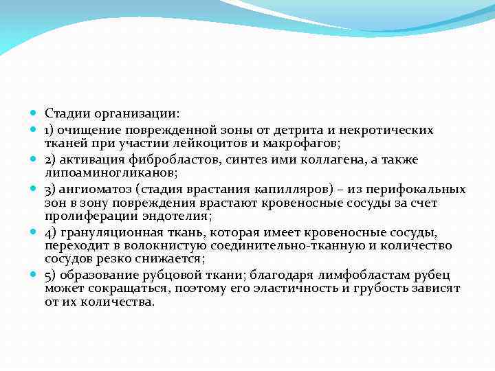  Стадии организации: 1) очищение поврежденной зоны от детрита и некротических тканей при участии