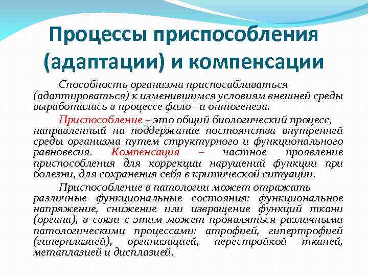 Структурные основы адаптации и компенсации нарушенных функций руководство