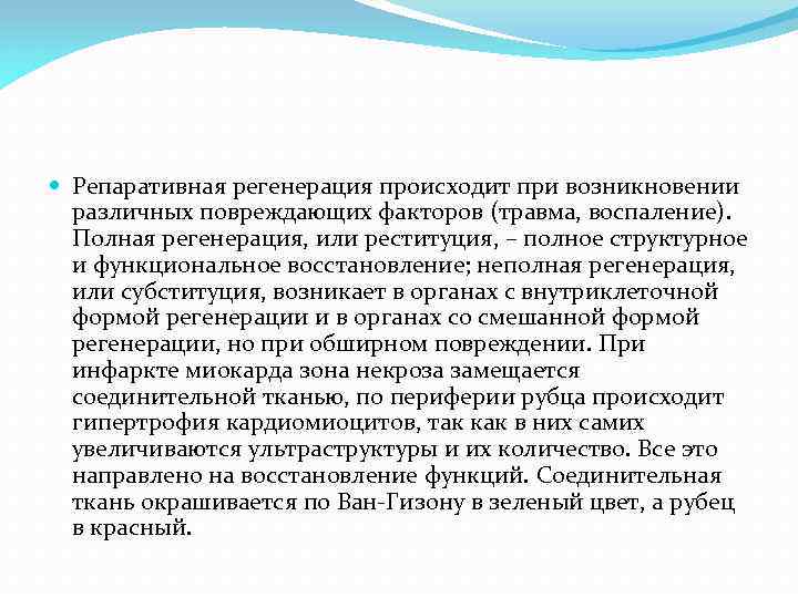  Репаративная регенерация происходит при возникновении различных повреждающих факторов (травма, воспаление). Полная регенерация, или