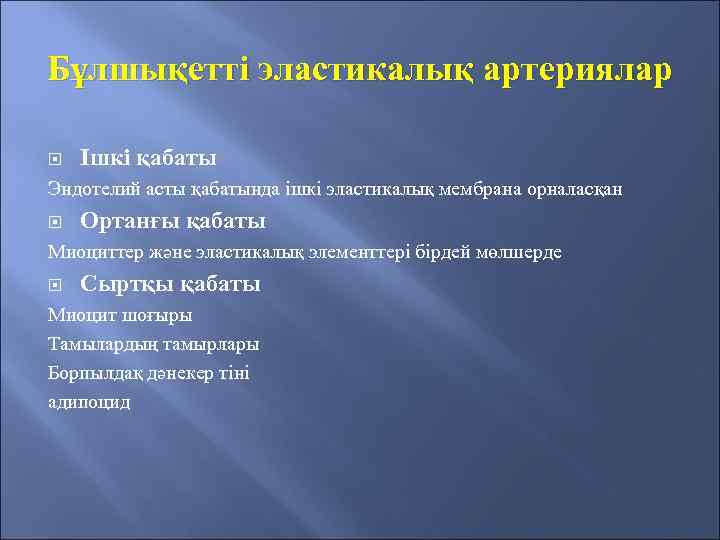 Бұлшықетті эластикалық артериялар Ішкі қабаты Эндотелий асты қабатында ішкі эластикалық мембрана орналасқан Ортанғы қабаты
