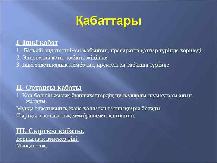 Қабаттары I. Ішкі қабат 1. Беткейі эндотелиймен жабылған, препаратта қатпар түрінде көрінеді. 2. Эндотелий