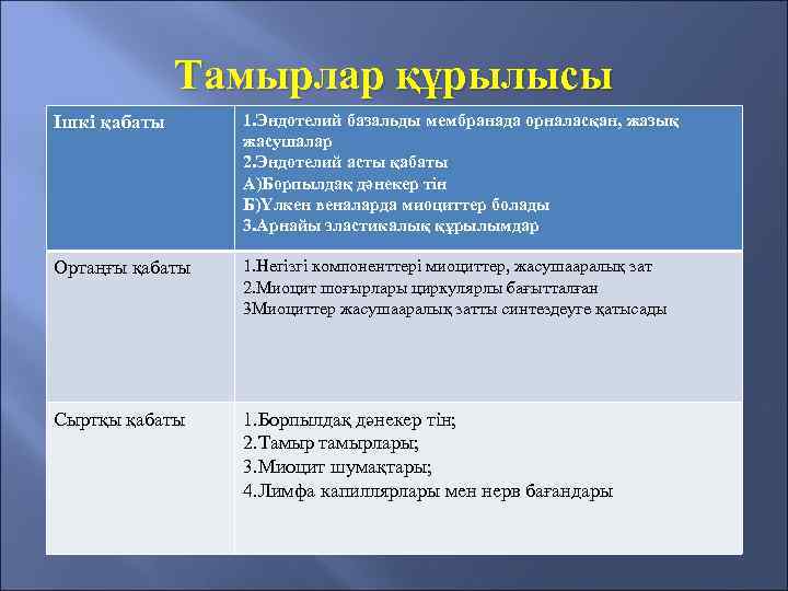 Тамырлар құрылысы Ішкі қабаты 1. Эндотелий базальды мембранада орналасқан, жазық жасушалар 2. Эндотелий асты