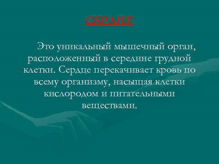 СЕРДЦЕ Это уникальный мышечный орган, расположенный в середине грудной клетки. Cердце перекачивает кровь по