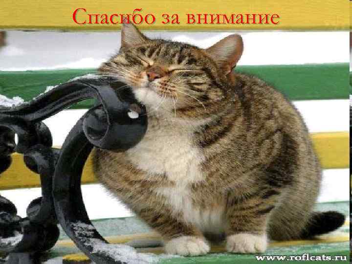 Спасибо за внимание 